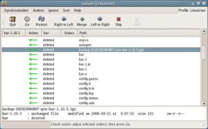 Eine GTK-Oberfläche erleichtert dem Anwender die Arbeit mit dem Synchronisationswerkzeug Unison.
