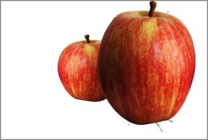 Apfel vergrößert