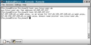 Abbildung 1: Abfrage eines Nameserver-Records