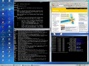 Abbildung 1: Der XP-Desktop im fvwm95-Look - mit installierten GNU-Tools lässt sich damit einigermaßen arbeiten
