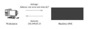 Abbildung 1: DNS als Black Box