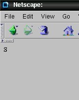 Abbildung 1: Netscape ist verwirrt