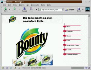Abbildung 1: Bounty im Internet