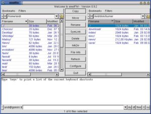 Abbildung 1: Standard-Layout des Dateimanagers emelfm