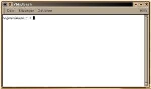Abbildung 10: Fenster mit Theme