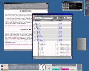 Abbildung 1: EPIwm's Standardlook mit einigen Tools (darunter: TKgoodstuff, gkrellm und der Dateimanager F)