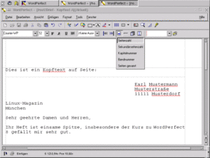 Abbildung 19: Eingabe eines Kopftexts