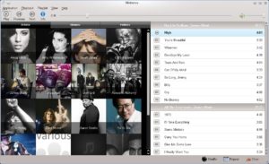 Abbildung 2: In der Grundeinstellung zeigt Minitunes sämtliche Interpreten an.