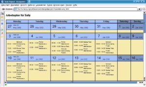 Abbildung 2: HTML-Kalender für die Mitarbeiterin Sally