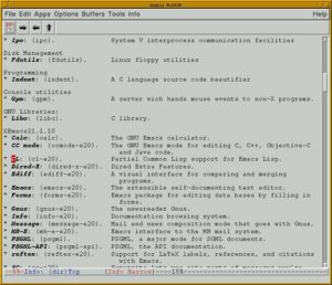 Abbildung 2: Info im XEmacs