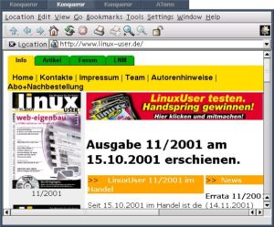 Abbildung 2: Dreimal Konqueror und einmal ATerm in einem einzigen PWM-Fenster