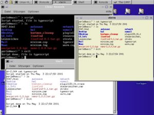 Abbildung 2: Reproduzieren einer Sitzung im Text-Modus mit <code srcset=