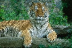 Abbildung 2: Der Tiger aus Konfetti