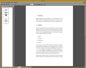 Abbildung 2: Thumbnails erleichtern die Navigation im Acrobat Reader