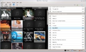Abbildung 3: Ganz schön bunt ist die Alben-Ansicht von Minitunes.