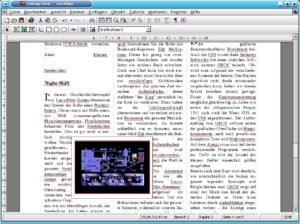 Abbildung 3: Professionelles Layout
