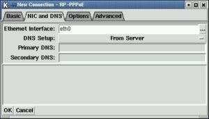 Abbildung 3: NIC and DNS - Auswahl der Netzwerkkarte und Einstellungen zu DNS