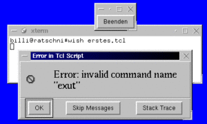 Abbildung 3: Fehler während der Programmausführung