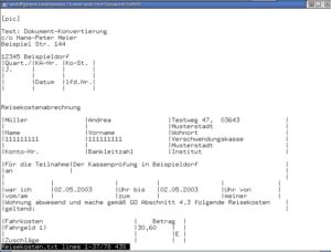 Abbildung 3: Von antiword erstellte Textversion