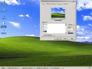 Abbildung 3: Linux oder Windows, das ist hier die Frage