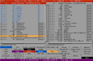 Abbildung 3: Worker, der Dateimanager von Damn Small Linux