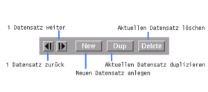 Abbildung 3: Die Schaltflächen zur Datensatznavigation.