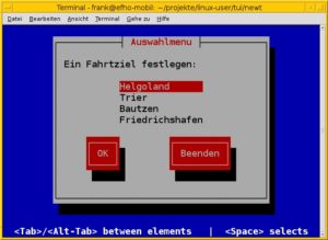 Abbildung 3: Eine einfach Auswahlbox haben Sie mit Python/Newt in wenigen Minuten programmiert.
