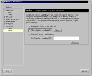 Abbildung 3: Proxy-Einstellung unter Netscape