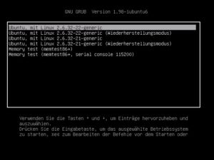 Abbildung 4: Grub 2 unter Ubuntu 10.04 bieten nur ein recht karges Menü.