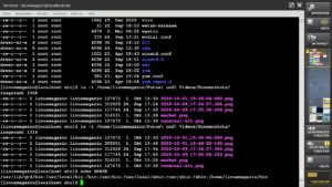 Abbildung 4: Im Software-Fundus des WeTab findet sich auch ein recht brauchbares Terminal.