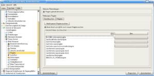 Abbildung 4: Der Konqueror kommt ganz wunderbar mit den Plugins anderer Browser klar