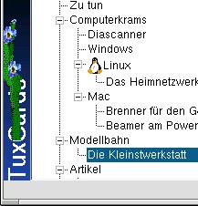 Abbildung 4: Ein kleiner Kaktus