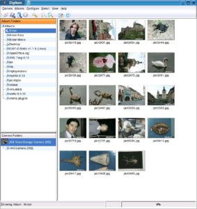 Abbildung 4: Das Preview-Fenster zeigt die auf der Kamera oder in einem Album abgelegten Fotos