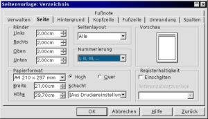 Abbildung 4: Die Seitennumerierung des Inhaltsverzeichnis erfolgt mit diesen Einstellungen in römischen Zahlen