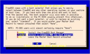 Abbildung 4: Boot-Manager ja oder nein?
