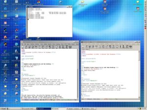 Abbildung 4: Vereinte Brüder: Links eine Linux-Version von XEmacs (von Exceed dargestellt), rechts der native Windows-Port