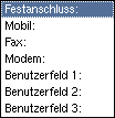 Abbildung 4: Telefonnummer-Orgien kreiert man lieber selbst