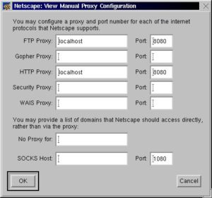 Abbildung 4: Adress-Einstellungen für den Proxy unter Netscape