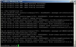 Abbildung 5: Von Windows aus ein Blick in die Log-Files des Servers