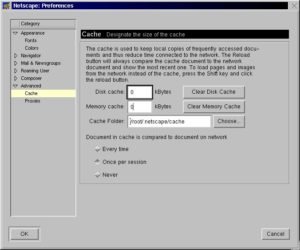 Abbildung 5: Cache-Einstellungen unter Netscape