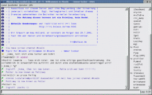 Abbildung 6: Im IRC kann es hoch hergehen