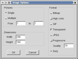 Abbildung 6: HTML-Exportoptionen: Bildformat festlegen