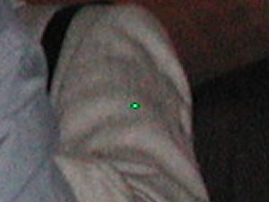 Abbildung 6: Ein toter Pixel (der hellgrüne Punkt in der Mitte) im vergrößerten Ausschnitt eines Bildes. Dass er verwischt aussieht, liegt an der JPEG-Kompression