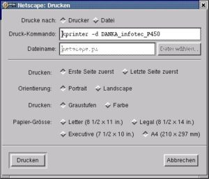 Abbildung 7: Netscape mit <code srcset=