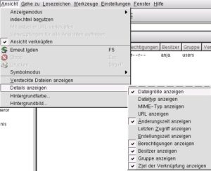 Abbildung 7: Konqueror versorgt Sie mit allen nötigen Informationen zu einer Datei