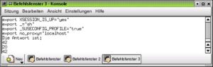 Abbildung 7: Ausgabe des Programmes aus Listing 1