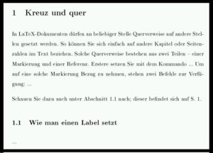 Abbildung 7: LaTeX setzt die Referenzen