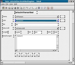 Abbildung 7: Der Formulardesigner…