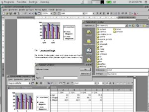Abbildung 7: Winword 2000 unter GNOME