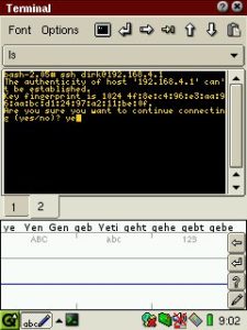 Abbildung 7: Nach dem SSH-Login auf dem entfernten Rechner …